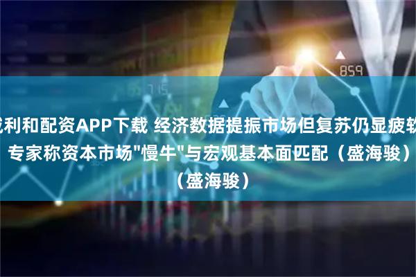 诚利和配资APP下载 经济数据提振市场但复苏仍显疲软,专家称资本市场"慢牛"与宏观基本面匹配(盛海骏)